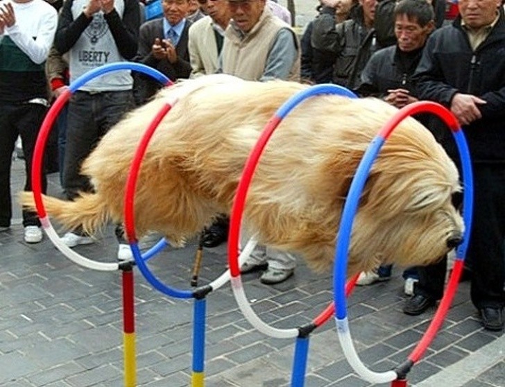 Nguồn: Bright Side