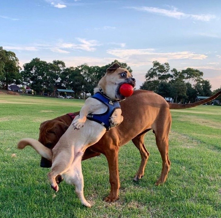 Nguồn: Bright Side