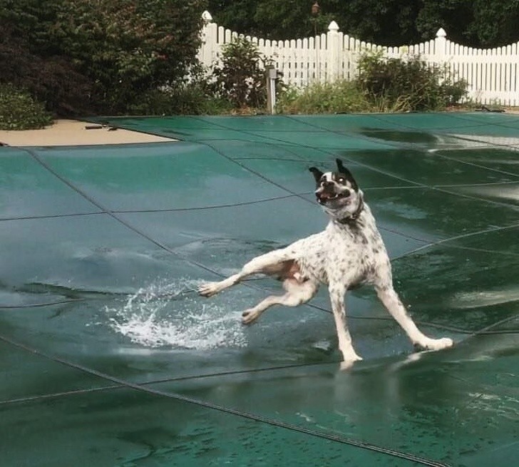 Nguồn: Bright Side