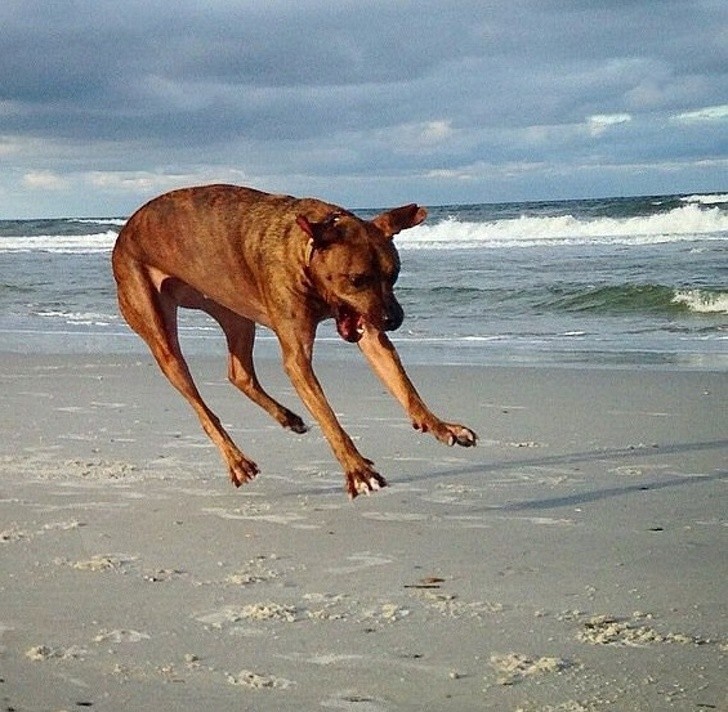 Nguồn: Bright Side