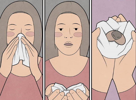 Nguồn: Bright Side