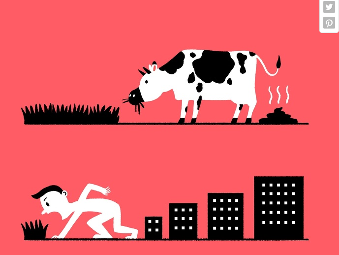 Nguồn: Bright Side