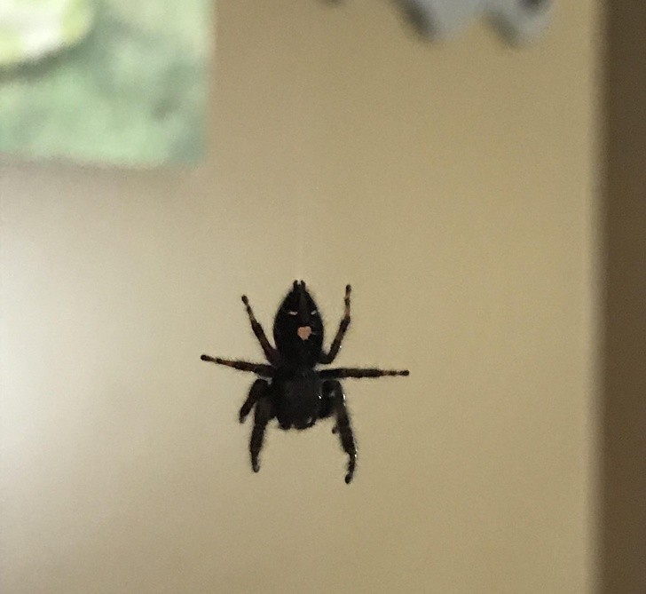 Nguồn: Bright Side