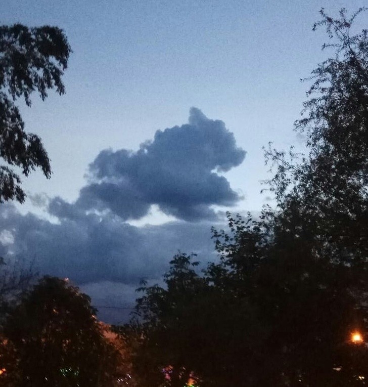 Nguồn: Bright Side