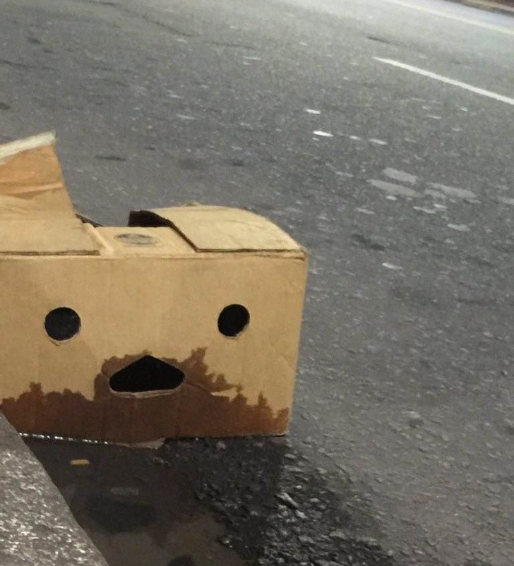 Nguồn: Bright Side