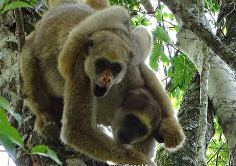 Nguồn: Bright Side Nguồn: Bright Side