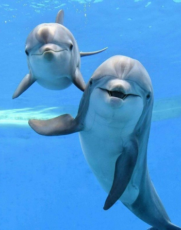 Nguồn: Bright Side Nguồn: Bright Side