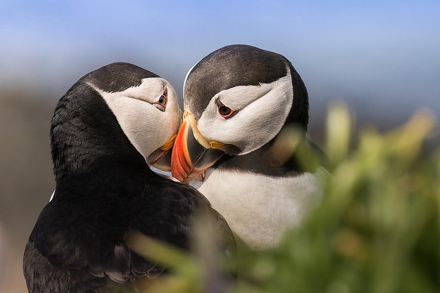 Nguồn: Bright Side Nguồn: Bright Side