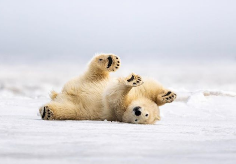 Nguồn: Bright Side Nguồn: Bright Side