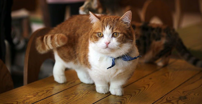 Nguồn: Bright Side Nguồn: Bright Side