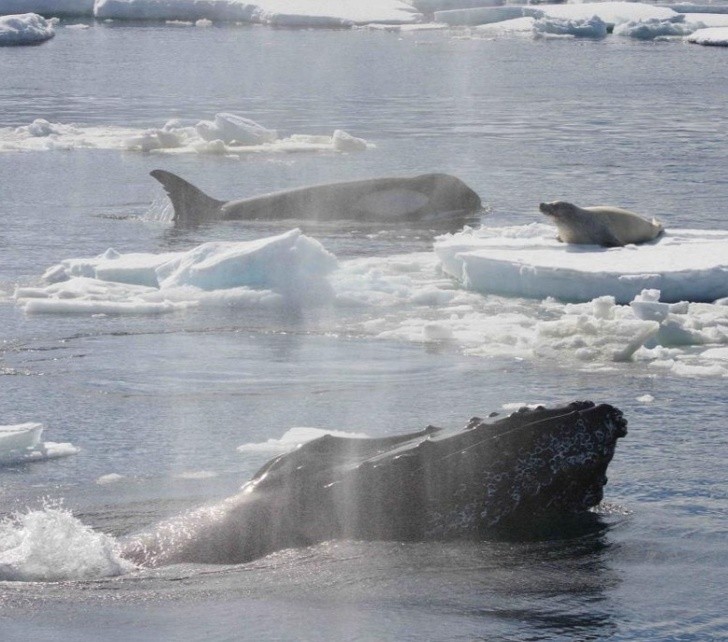 Nguồn: Bright Side Nguồn: Bright Side