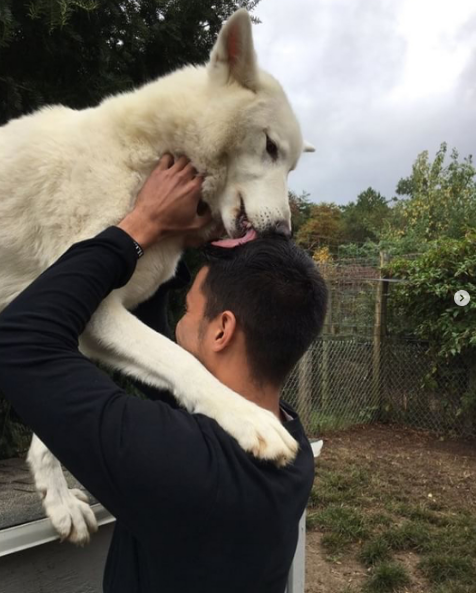 Nguồn: Bright Side