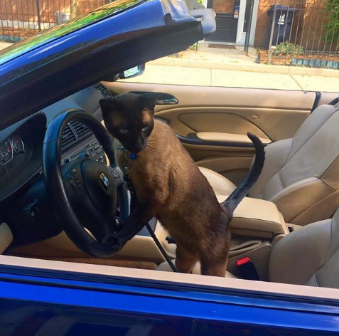 Nguồn: Bright Side Nguồn: Bright Side