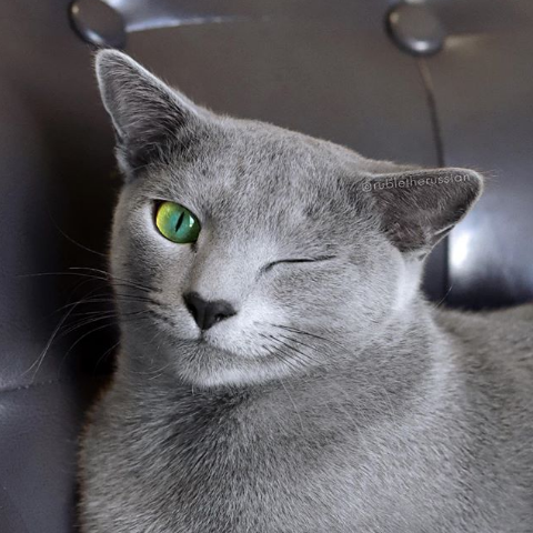 Nguồn: Bright Side Nguồn: Bright Side