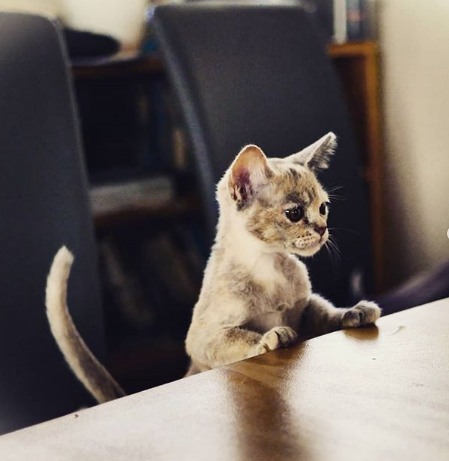 Nguồn: Bright Side Nguồn: Bright Side