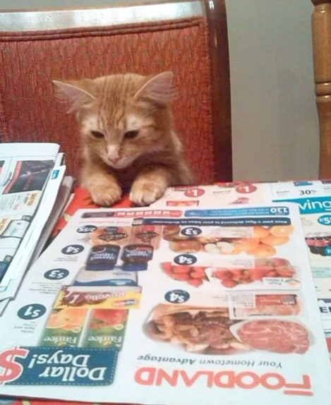 Nguồn: Bright Side Nguồn: Bright Side