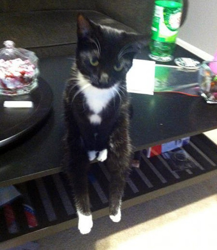 Nguồn: Bright Side Nguồn: Bright Side