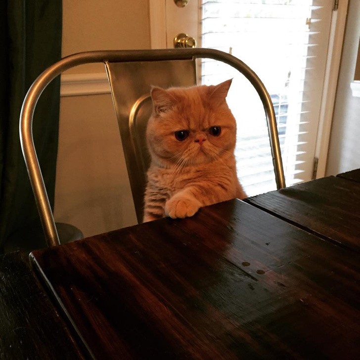 Nguồn: Bright Side Nguồn: Bright Side