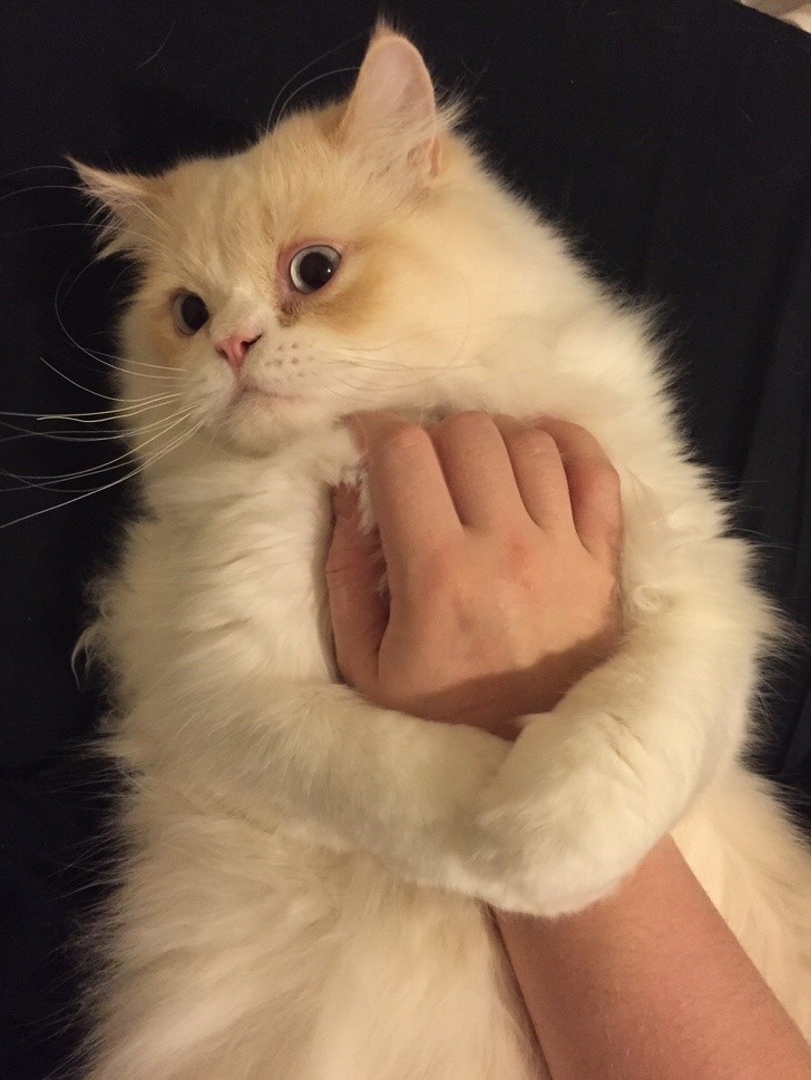 Nguồn: Bright Side Nguồn: Bright Side