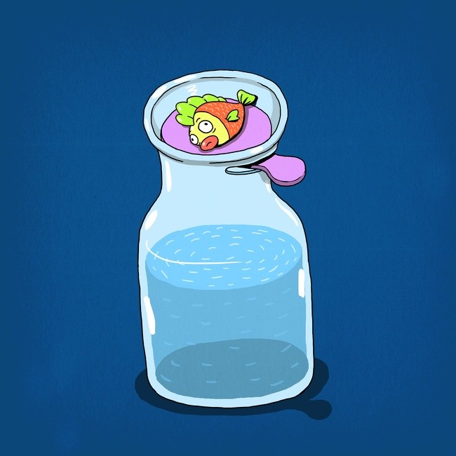 Nguồn: Bright Side