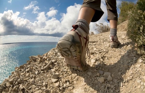 Nguồn: NZ Nguồn: NZ