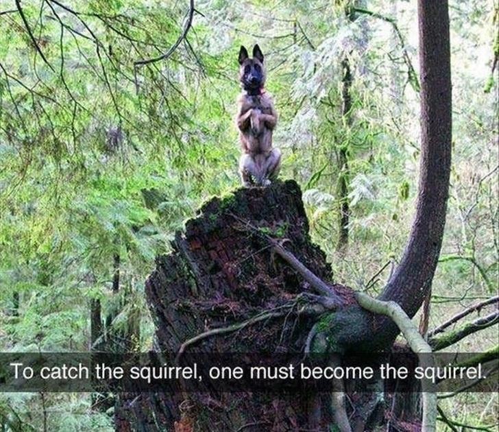 Nguồn: Bright Side Nguồn: Bright Side