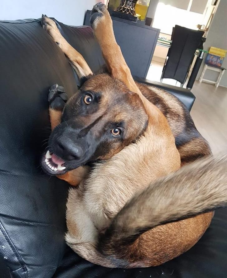 Nguồn: Bright Side Nguồn: Bright Side