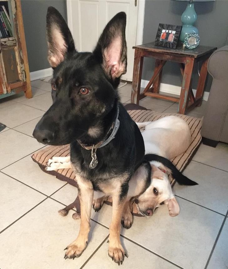 Nguồn: Bright Side Nguồn: Bright Side