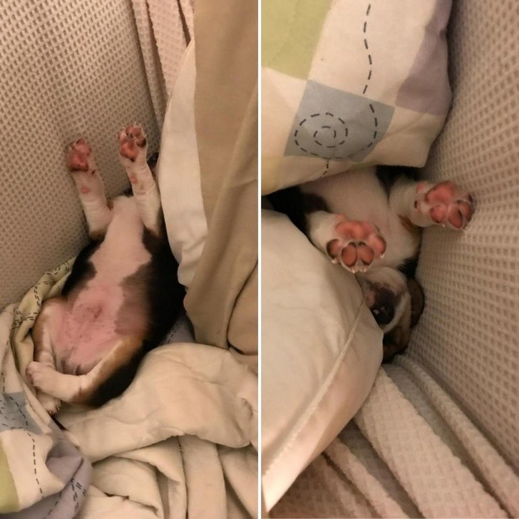 Nguồn: Bright Side Nguồn: Bright Side