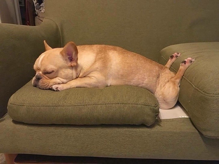 Nguồn: Bright Side Nguồn: Bright Side