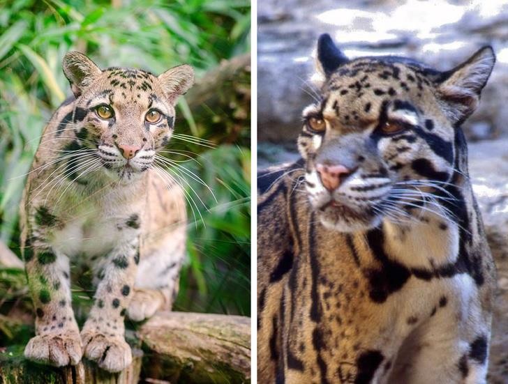 Nguồn: Bright Side