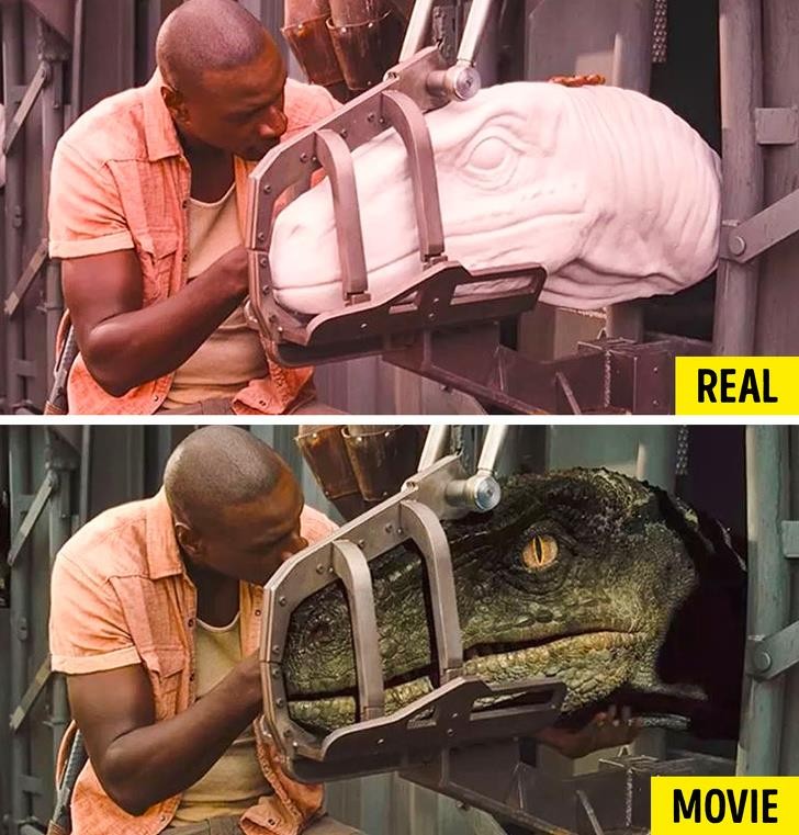 Nguồn: Bright Side