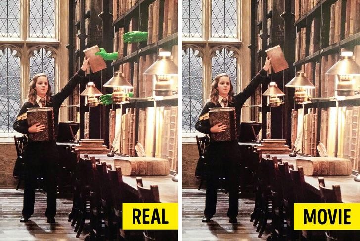 Nguồn: Bright Side