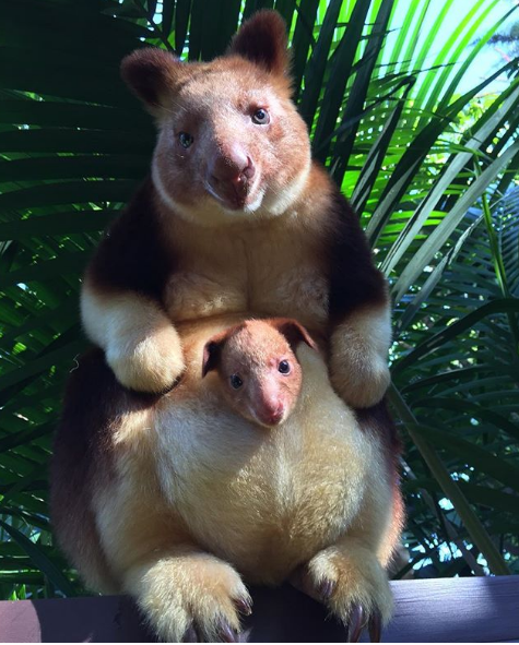 Nguồn: Bright Side