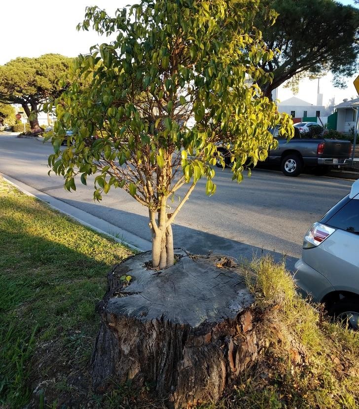 Nguồn: Bright Side