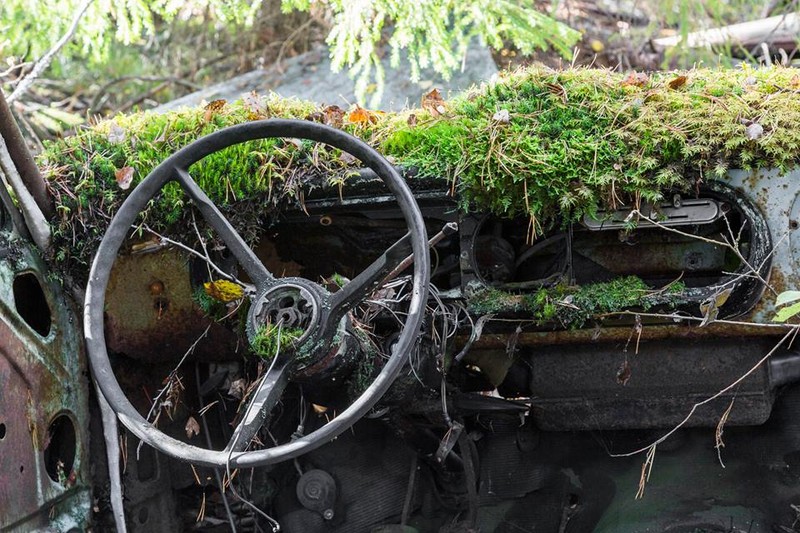 Nguồn: Bright Side