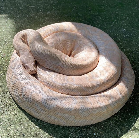 Nguồn: Bright Side Nguồn: Bright Side