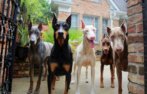 Nguồn: Bright Side Nguồn: Bright Side