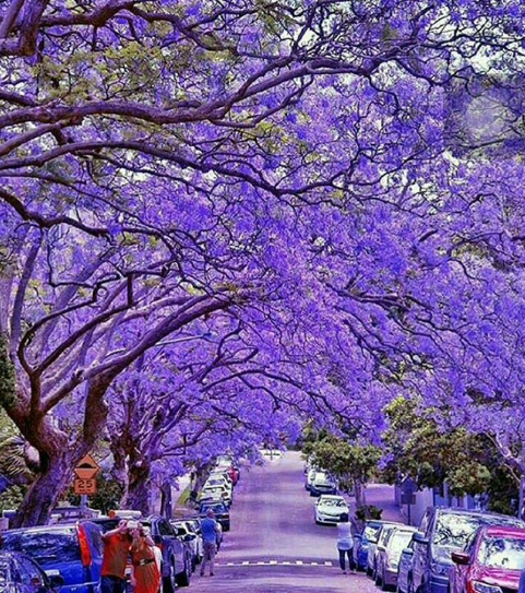 Nguồn: Bright Side