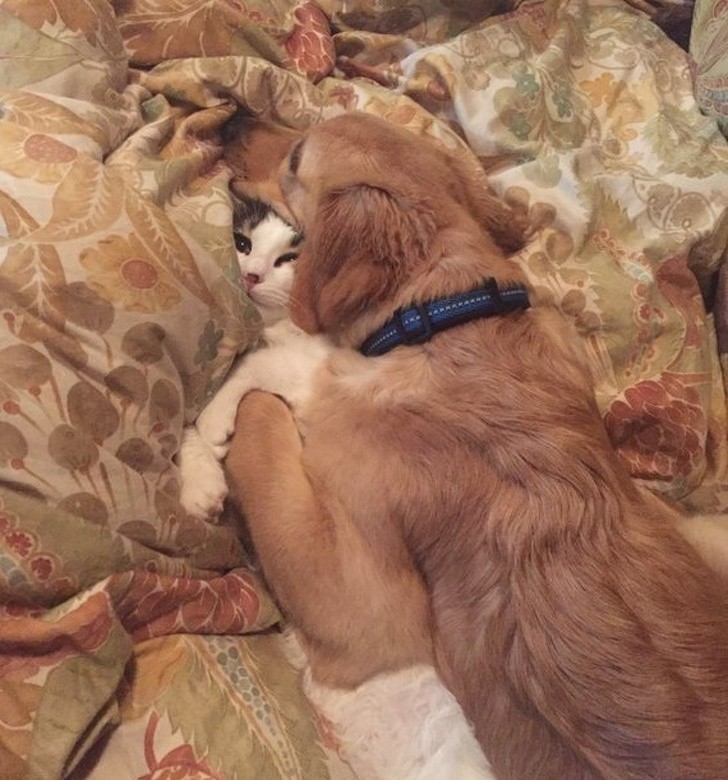 Nguồn: Bright Side Nguồn: Bright Side