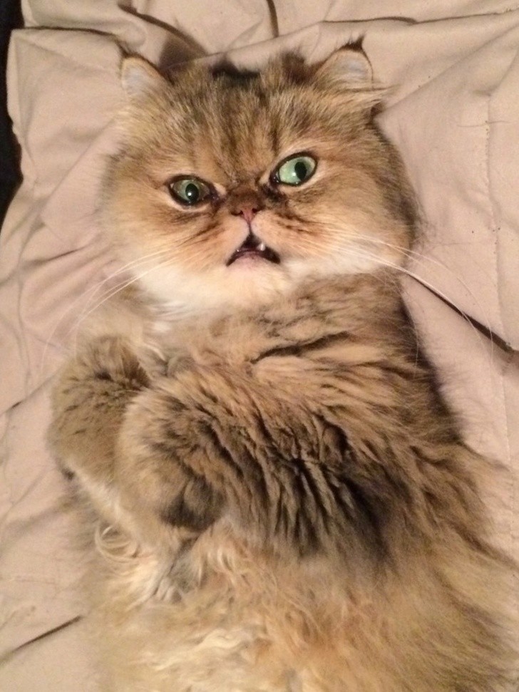 Nguồn: Bright Side Nguồn: Bright Side