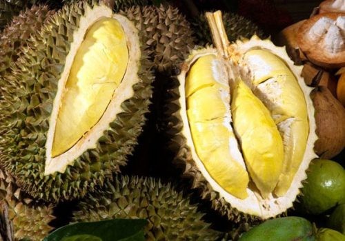 Nguồn: Bright Side