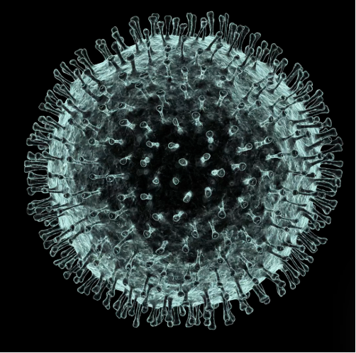 Virus Corona. Ảnh: CNET Ảnh: CNET
