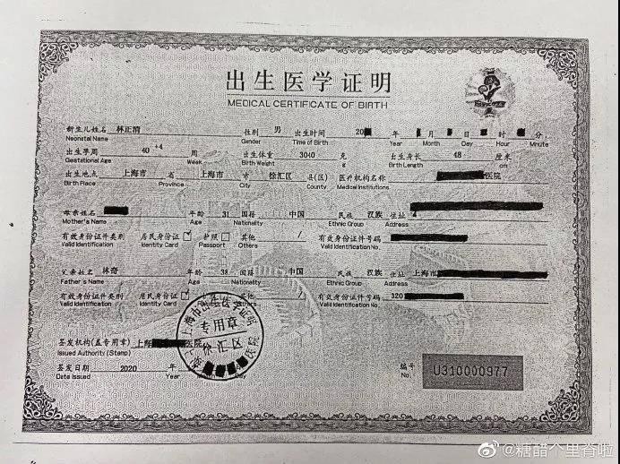Giấy khai sinh người con trai khác của Lin Qi Giấy khai sinh người con trai khác của Lin Qi