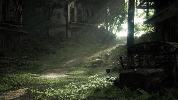 Thảm thực vật bảo phủ mọi nơi. Thảm thực vật bảo phủ mọi nơi.