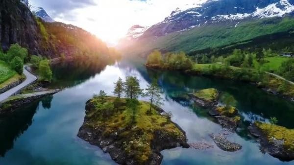 Hệ sinh thái mới được thiết lập. Hệ sinh thái mới được thiết lập.