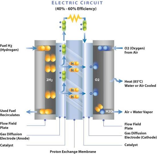 Phản ứng điện hóa kết hợp giữa hydro và oxygen. Ảnh: Energy Information Administration Phản ứng điện hóa kết hợp giữa hydro và oxygen. Ảnh: Energy Information Administration