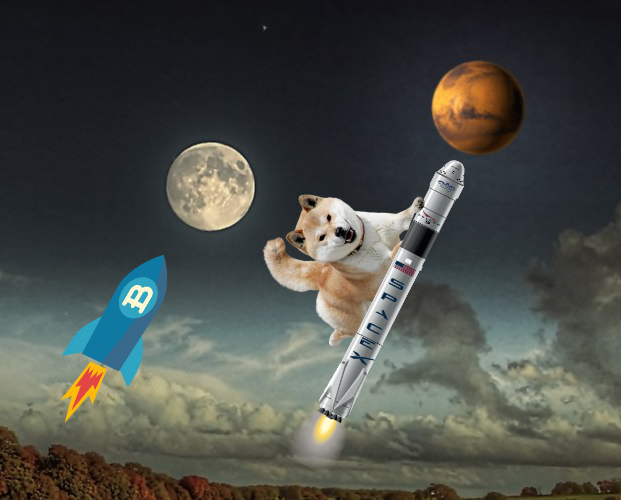 Elon Musk đưa giá đồng meme Dogecoin tăng vọt. Elon Musk đưa giá đồng meme Dogecoin tăng vọt.