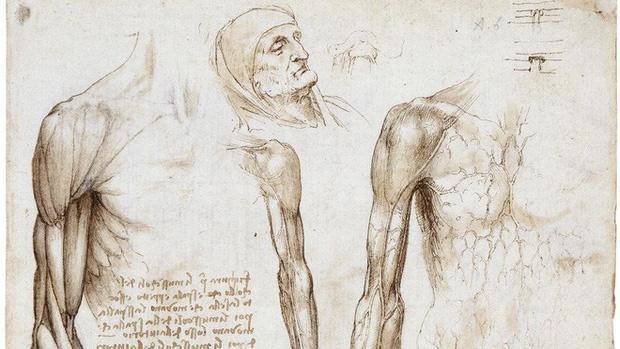Thông qua giải phẫu xác người, Da Vinci tự khám phá ra cách thức chuyển động của các cơ trên cơ thể con người.