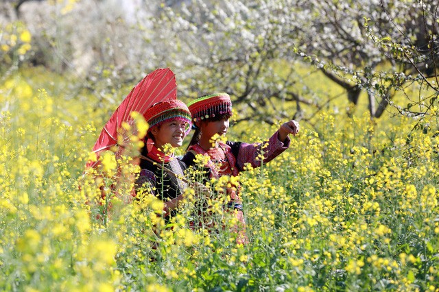 Ảnh minh họa (Nguồn: Báo Tây Ninh)